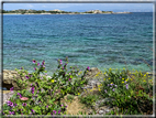 foto Spiagge a Santa Teresa di Gallura